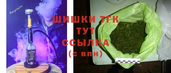 кокс Касимов