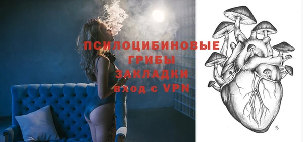 кокс Касимов