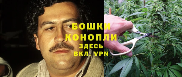 кокс Касимов
