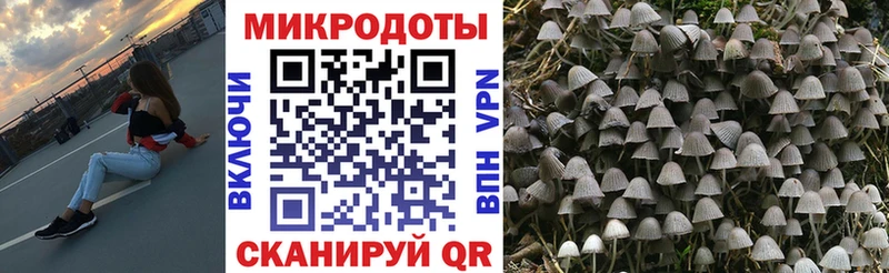 Псилоцибиновые грибы прущие грибы  Купить  Вытегра 