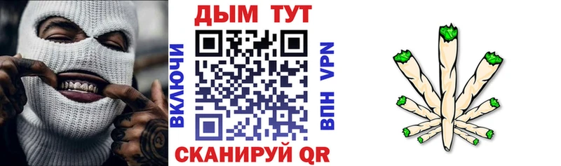 Купить  Вытегра  Канабис OG Kush 